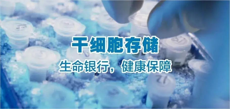 中源协和