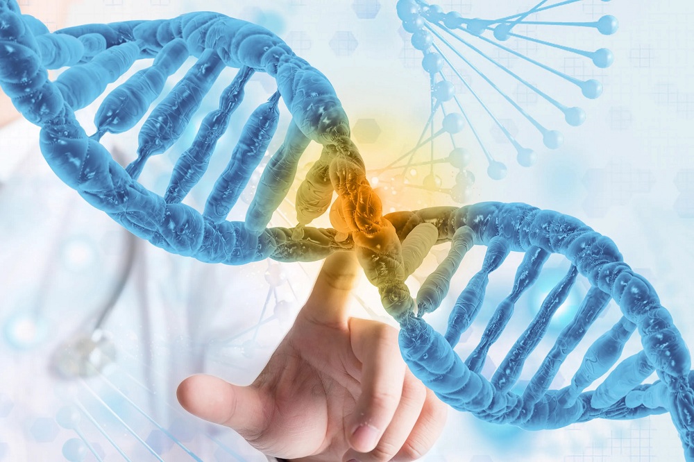 基迪奥生物