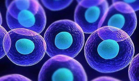 干细胞疗法对糖尿病患者的3个临床研究案例！