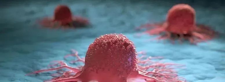 干细胞治疗抑郁症的基础和临床研究