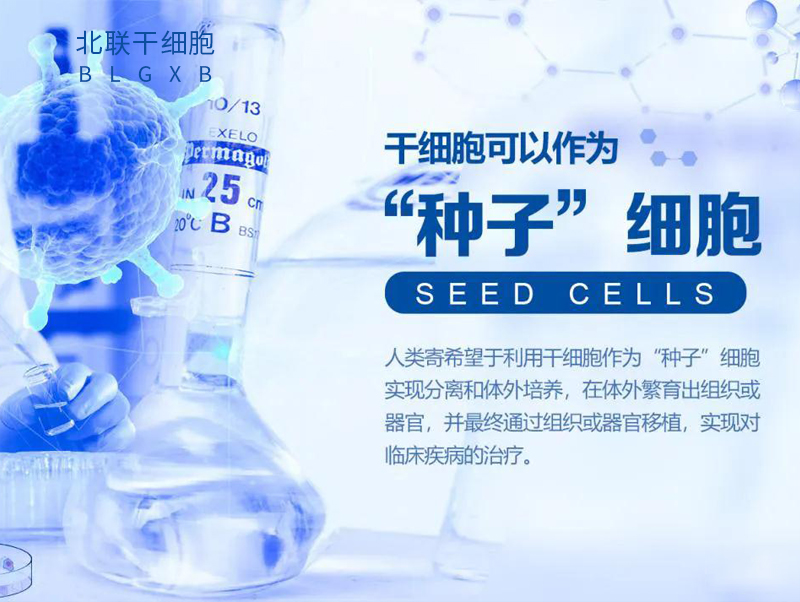 干细胞治疗抑郁症可行性研究